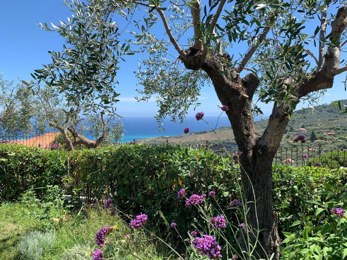 Agriturismo L'Orto Di Muma Gorleri エクステリア 写真